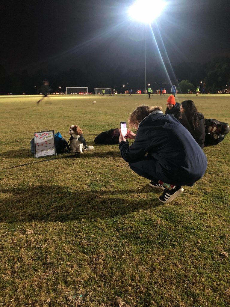 Carrot taking a photo of Leo, a dog, sat beside a whiteboard with tactics at training at night at Princes Park